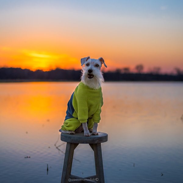 Fleece Onesie - Image 11