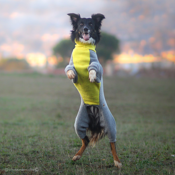 Fleece Onesie