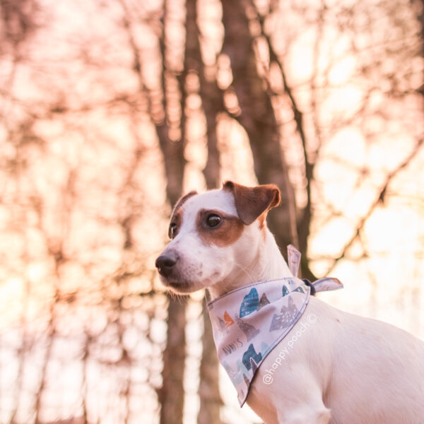 Adventure Awaits Bandana - Image 3