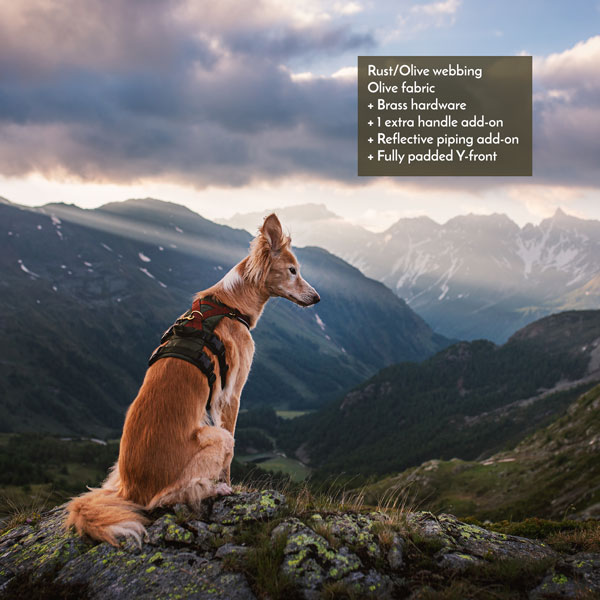 Adventure Harness - Image 11