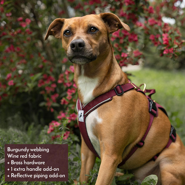 Adventure Harness - Image 10