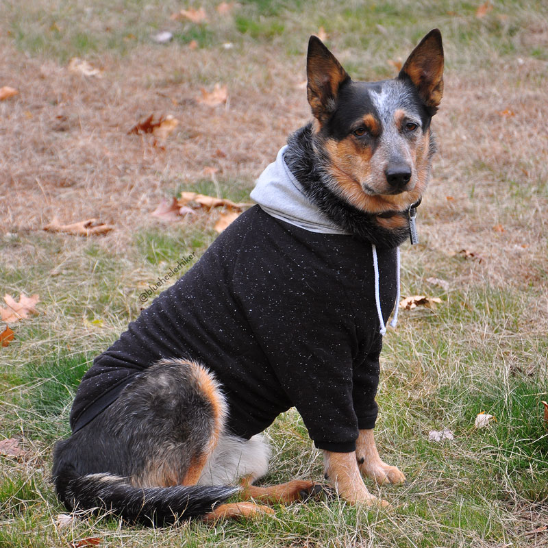 Starry night hoodie - Image 5