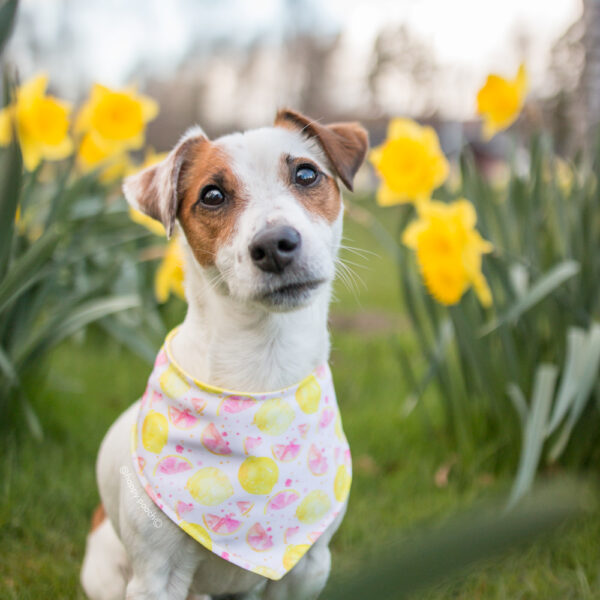 Lemonade Bandana - Image 3