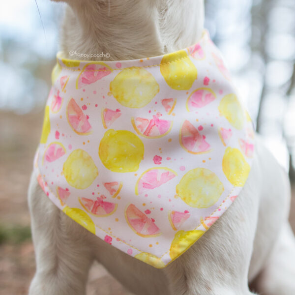Lemonade Bandana