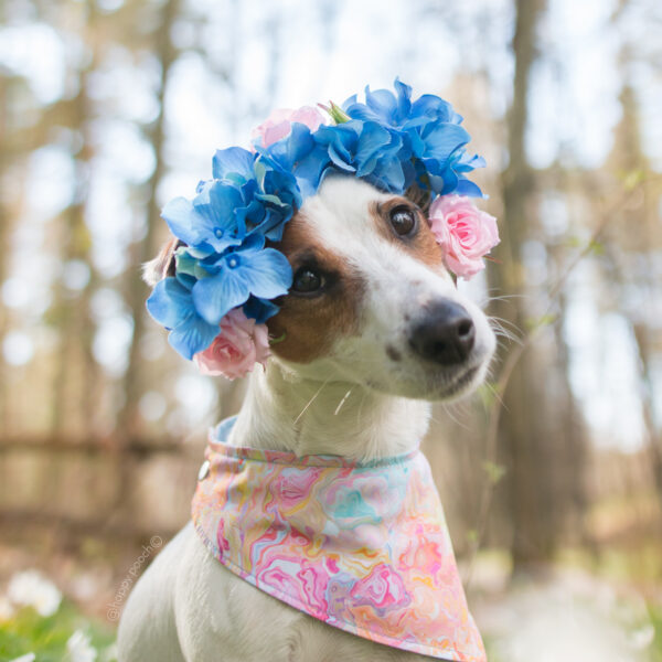 Razzle Bandana - Image 3