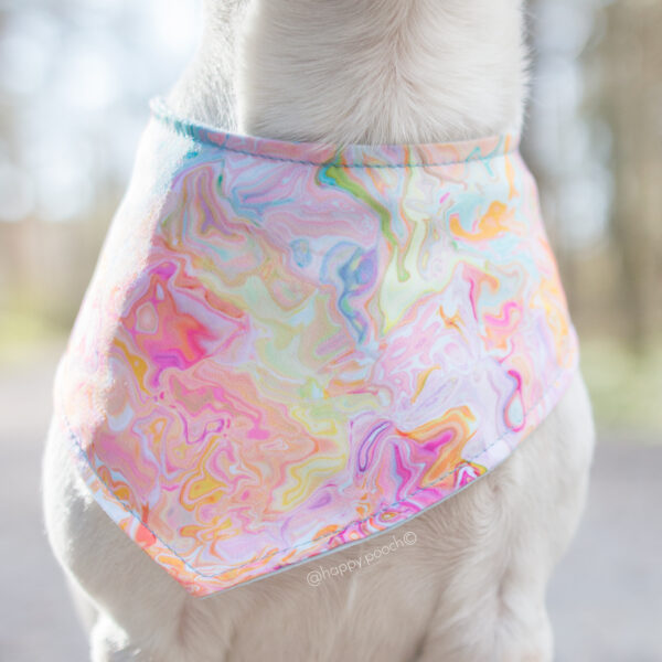 Razzle Bandana