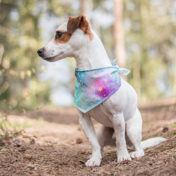 Starstruck Bandana - Image 5