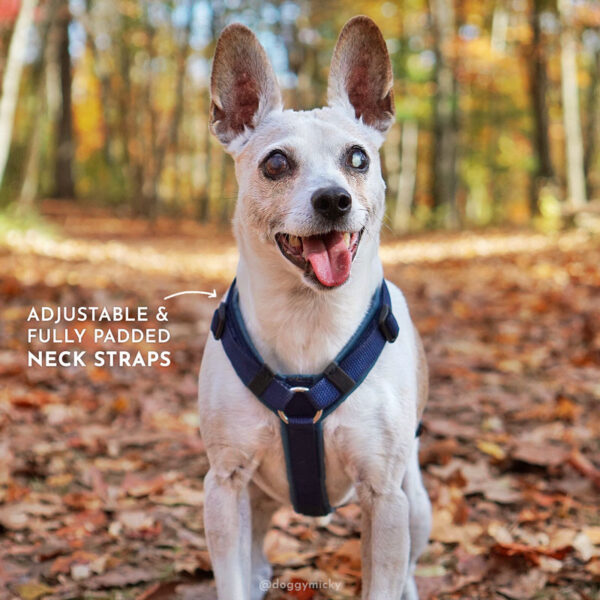 City Sleek Harness - Image 2