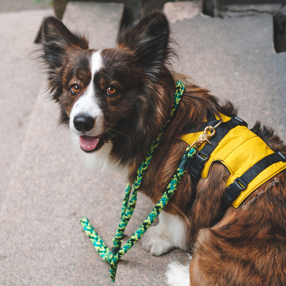Adventure Harness - Image 14