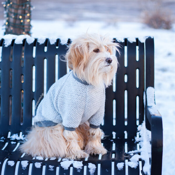 Wool Sweater - All colours - Image 9