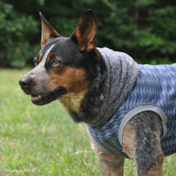 Geo raglan turtleneck - Blue - Image 3