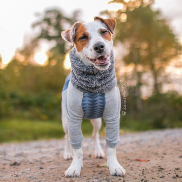 Geo raglan turtleneck - Blue - Image 4