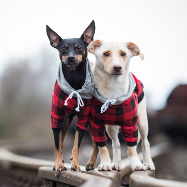 Lumberjack hoodie - Image 4