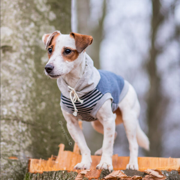 Denim Sweatshirt Hoodie - Image 6