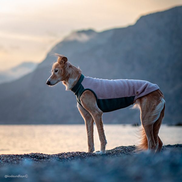 Fleece Tank top - Image 4