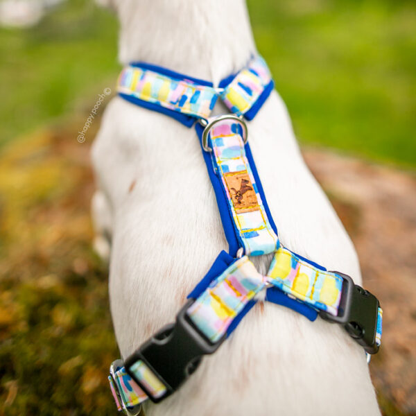 Adventure Sleek harness - Confetti