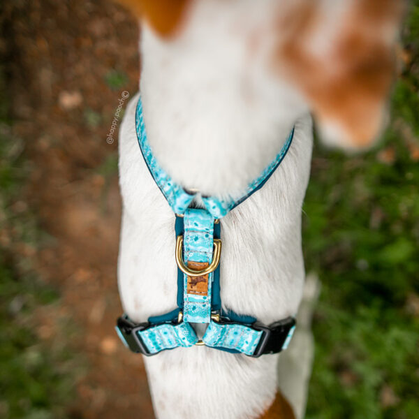 Adventure Sleek harness - Capri - Image 4