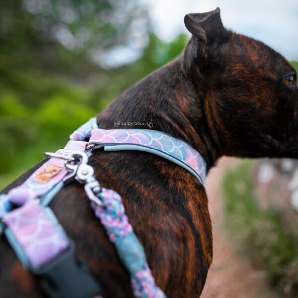 Adventure Sleek harness - Mermaid - Image 4