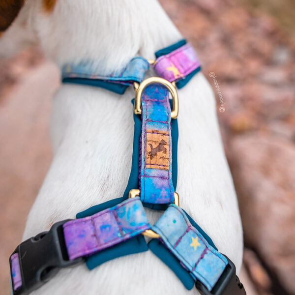 Adventure Sleek harness - Starstruck