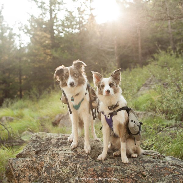 Adventure Backpack - Image 10