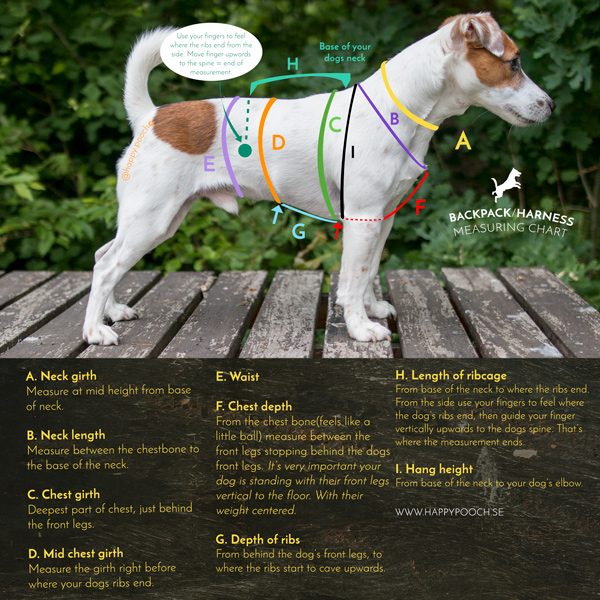 Adventure Harness - Image 5