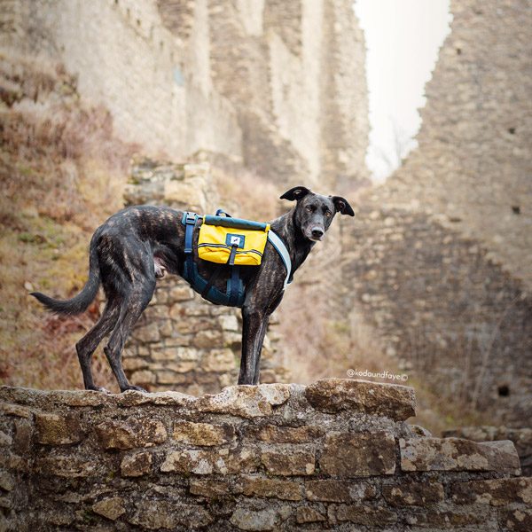 Adventure Backpack - Image 7
