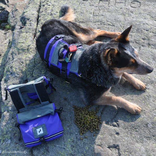 Adventure Backpack - Image 6