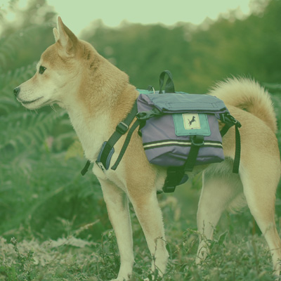 Adventure Pack & Harness