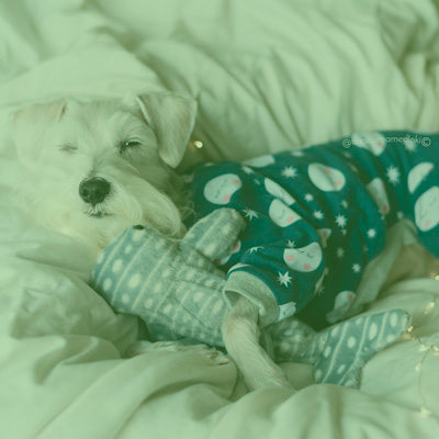 Pajamas