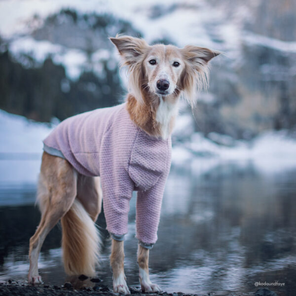 Wool Sweater - All colours - Image 4