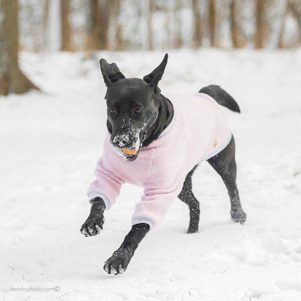 Wool Sweater - All colours - Image 8