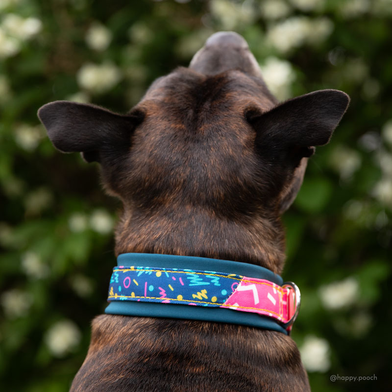 Adventure Sleek Collars - Luxury biothane buckle - Image 5