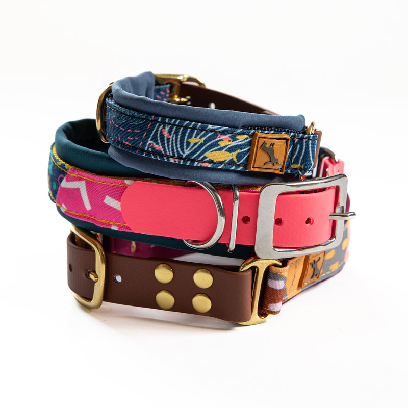 Adventure Sleek Collars - Luxury biothane buckle