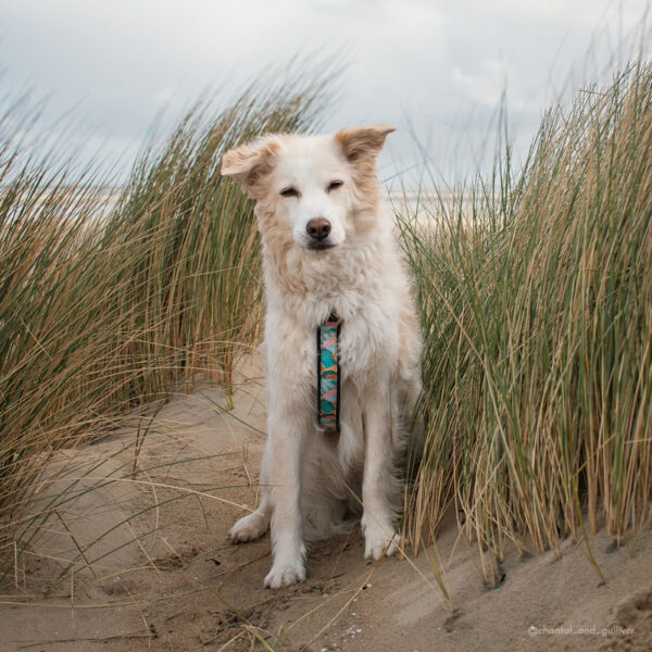 Adventure Sleek harness - Pastel Mountains - Image 4