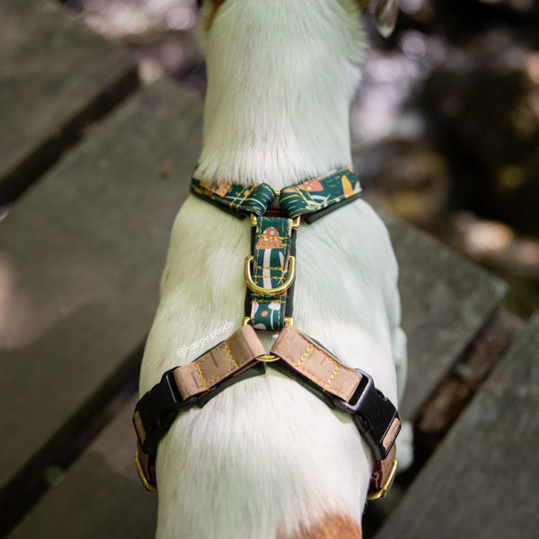 Adventure Sleek harness - Mushroom trail