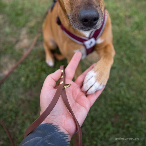 Mini Biothane leash - Image 5