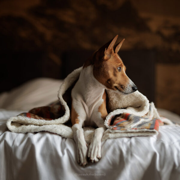 SOTV Fleece blanket - Image 4