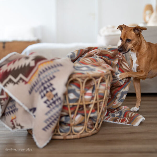 SOTV Fleece blanket - Image 5