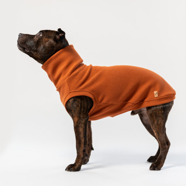 Rib jersey tank/raglan - Image 7