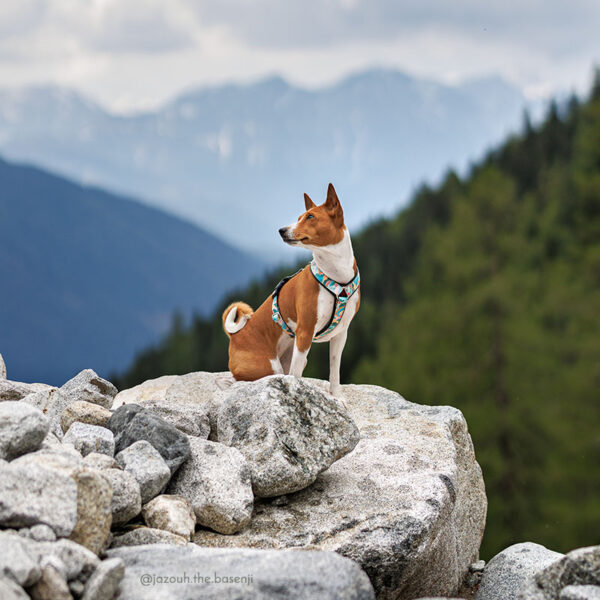 Adventure Sleek harness - Pastel Mountains - Image 6