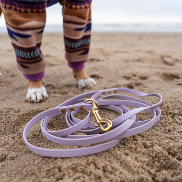 Mini Biothane leash