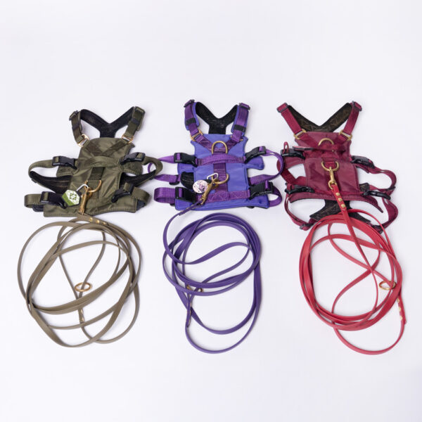 Alternative view of Mini Biothane leash