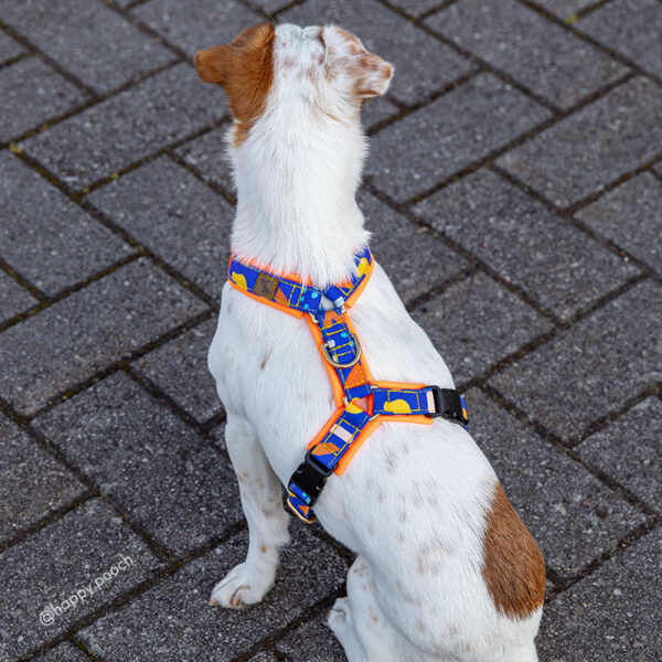Adventure Sleek harness - Chill Pill - Image 4