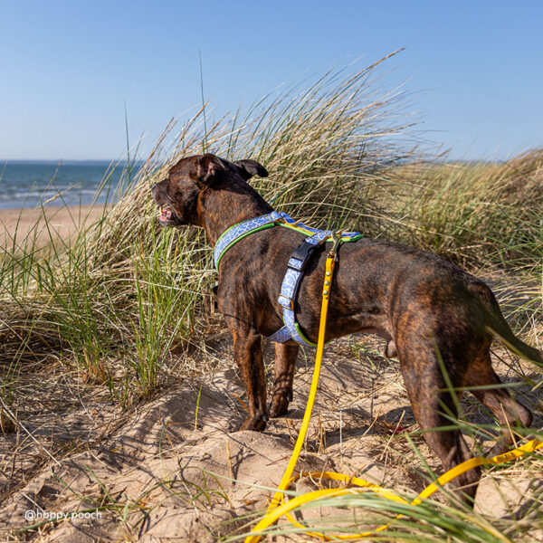 Adventure Sleek harness - Cool Coral - Image 3