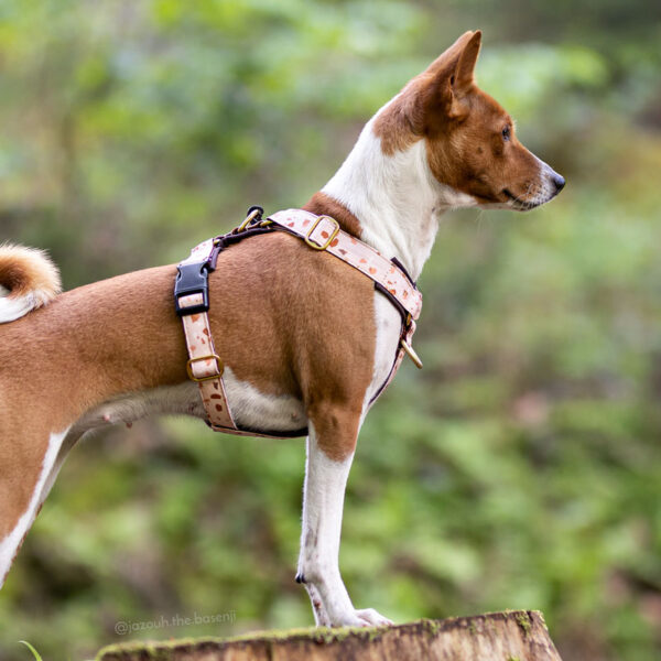 Adventure Sleek harness - Terrazzo - Image 3