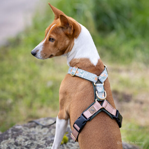 Adventure Sleek harness - Mushroom Trail, Blue - Image 5