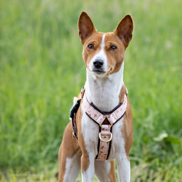 Adventure Sleek harness - Terrazzo - Image 7