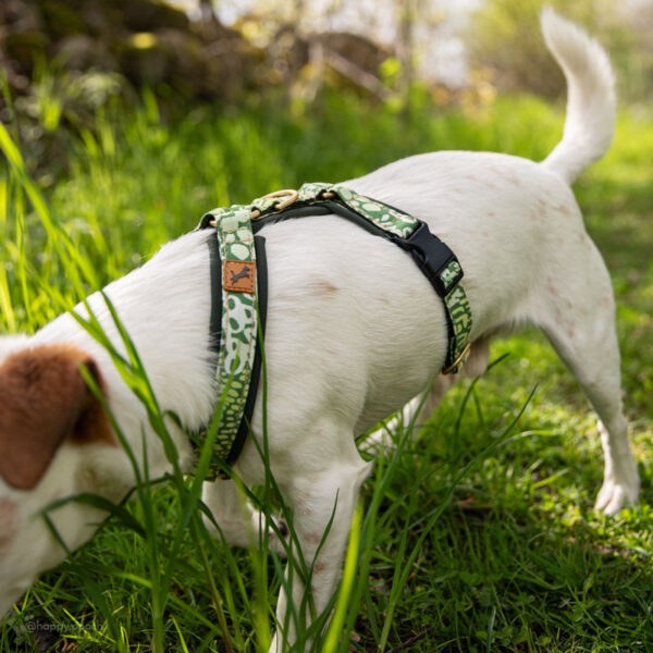 Adventure Sleek harness - Meadow - Image 4