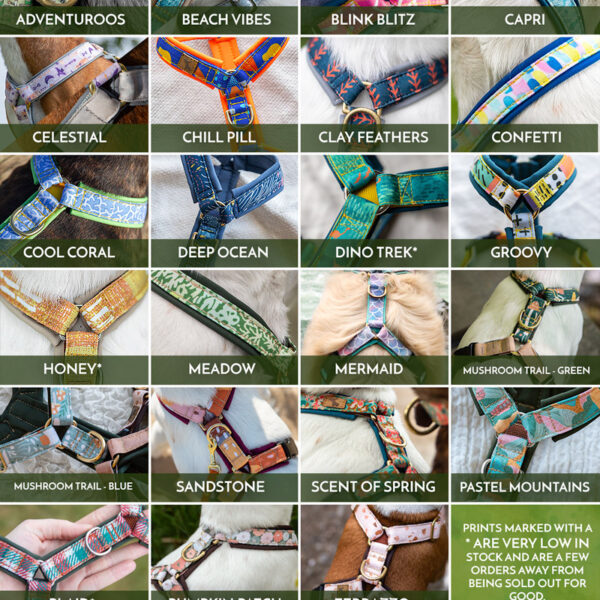 Adventure Sleek Collars - Limited Slip - Image 5