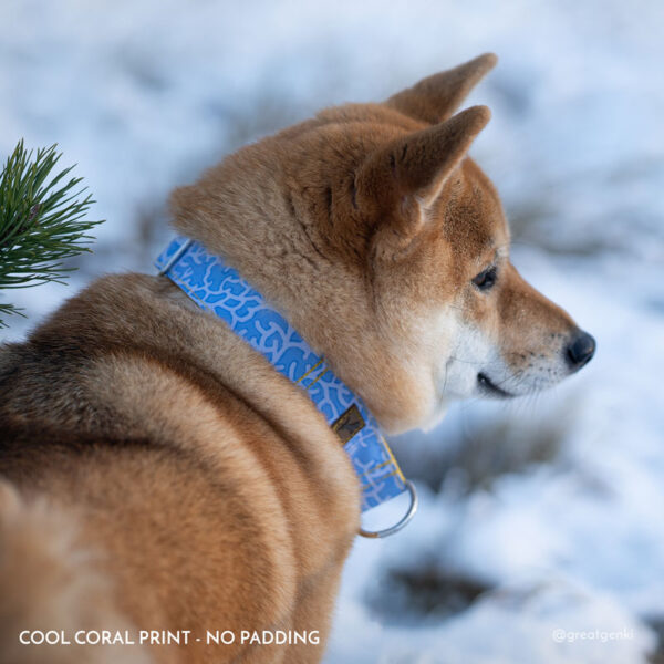 Adventure Sleek Collars - Limited Slip - Image 4